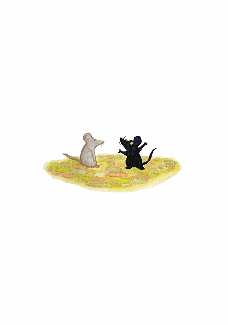 かげひかりのよる