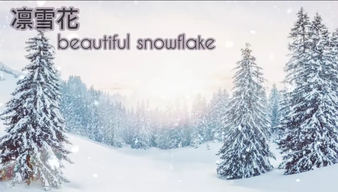 凛雪花 beautiful snowflake