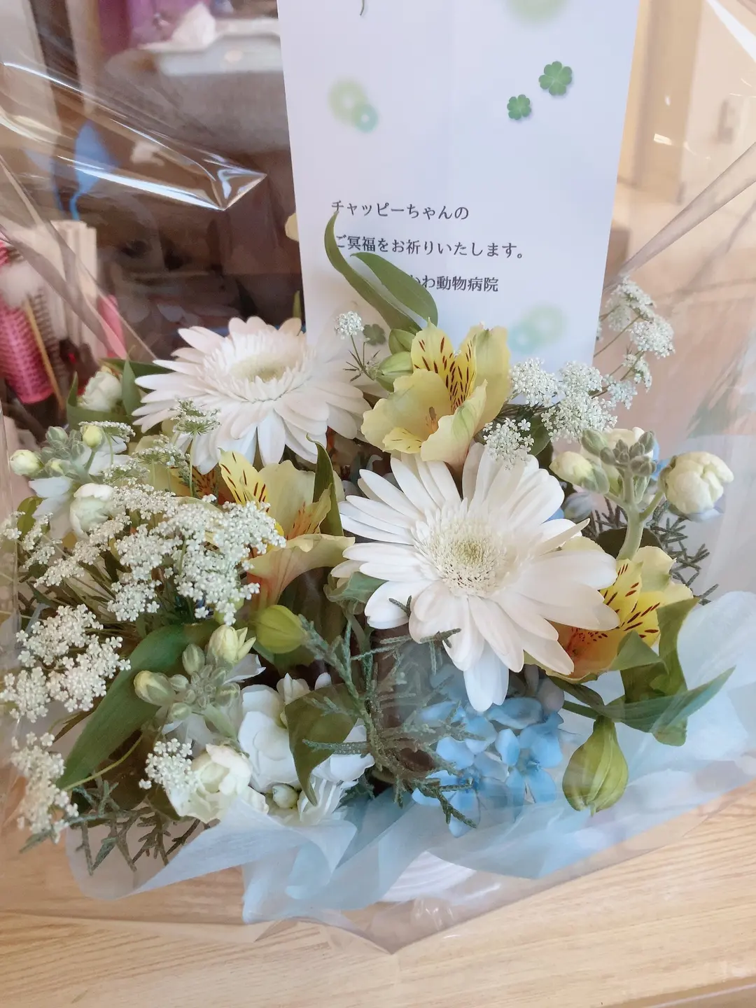 ご報告