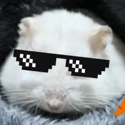 User Icon