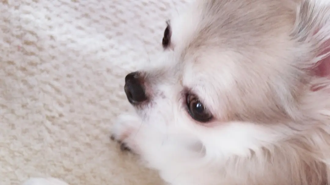 1歩1歩