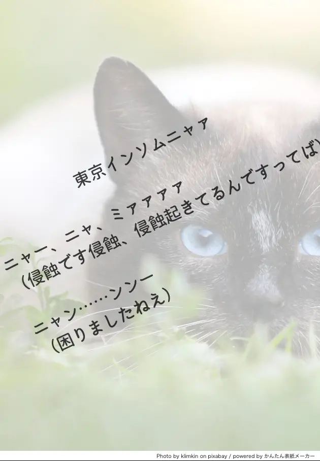 ☆受注終了☆【猫喫】東京インソムニア期間限定合同企画