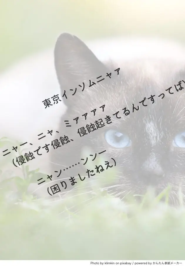 23年1月納品物紹介「【猫喫】猫。寝る子。」
