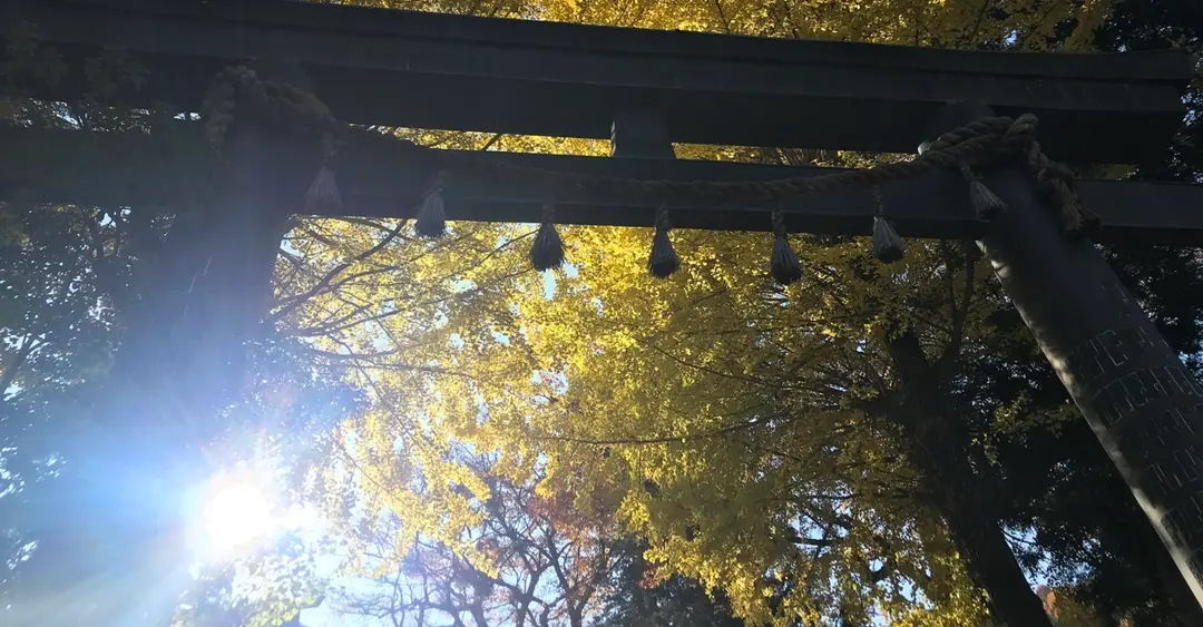 いのりのつばさ