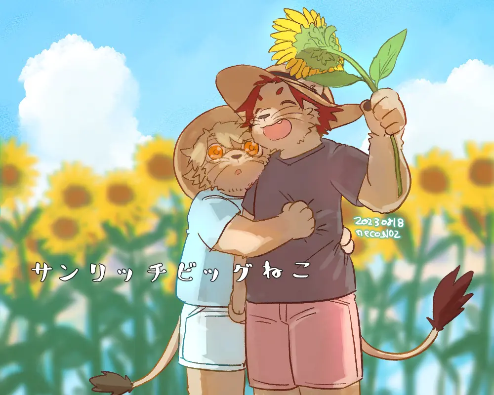 はじめてみましたと活動について