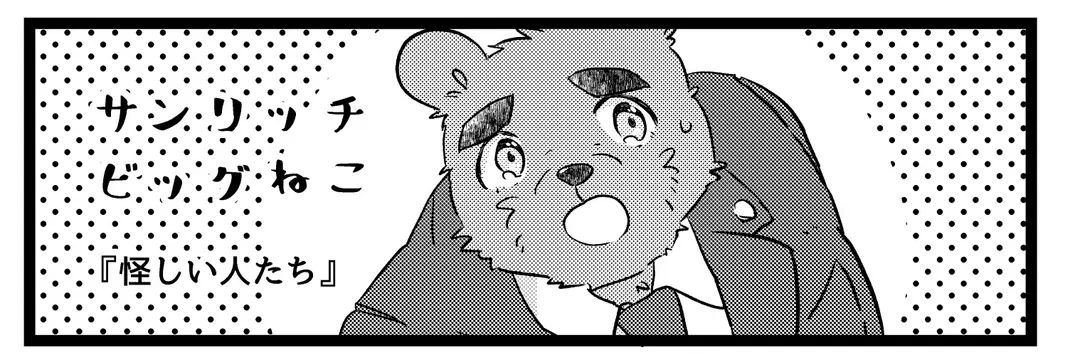 サンリッチビッグねこ