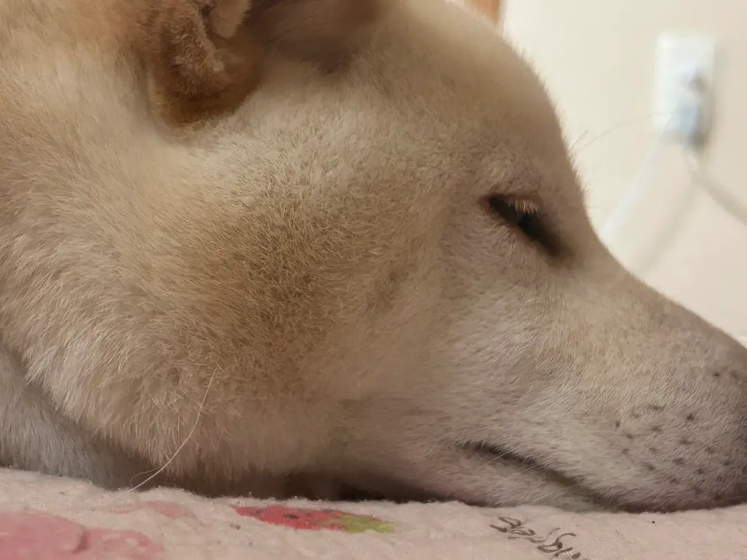 胃もたれ気つけて