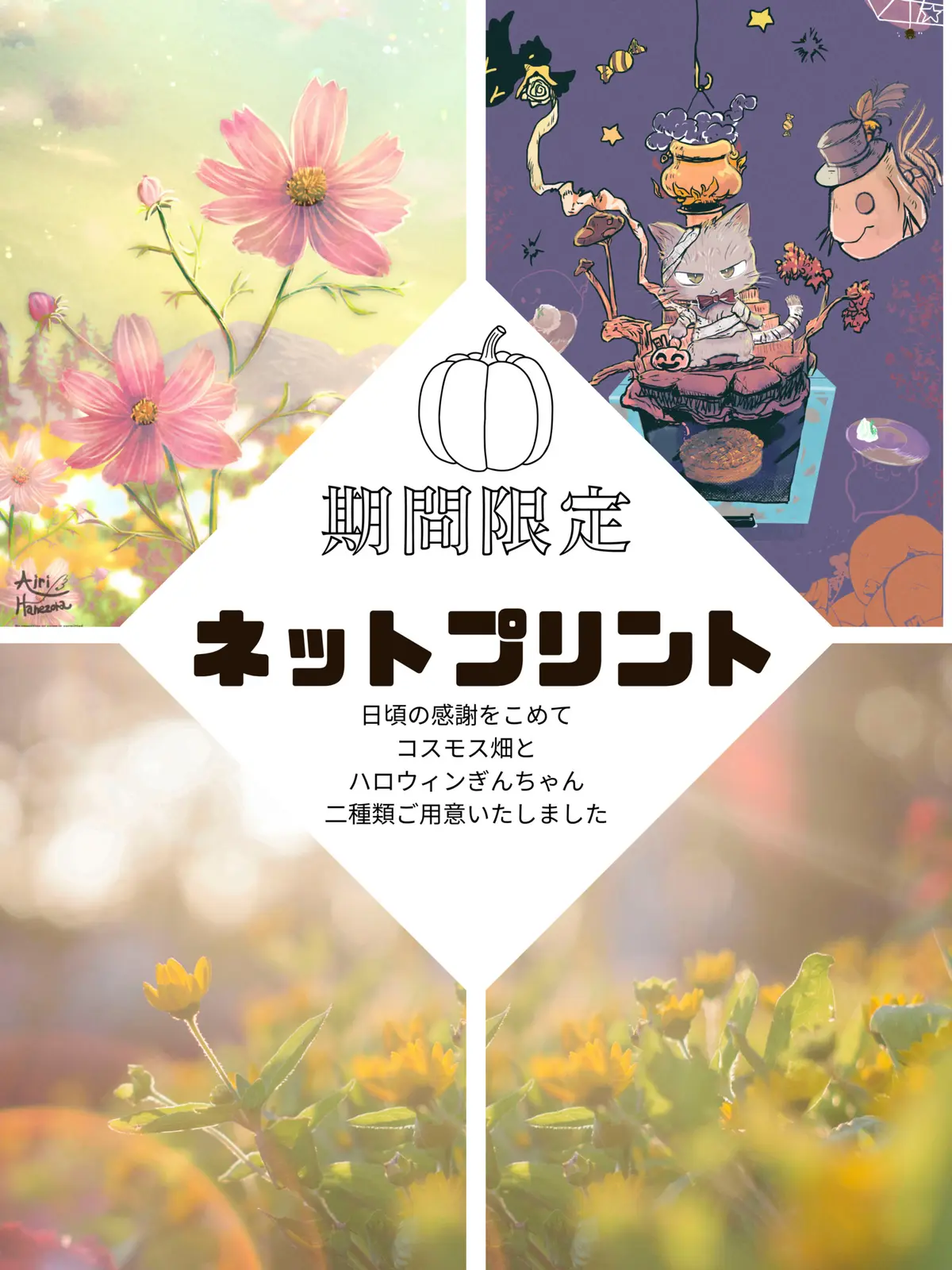 【秋スペシャル】期間限定ネットプリント！
