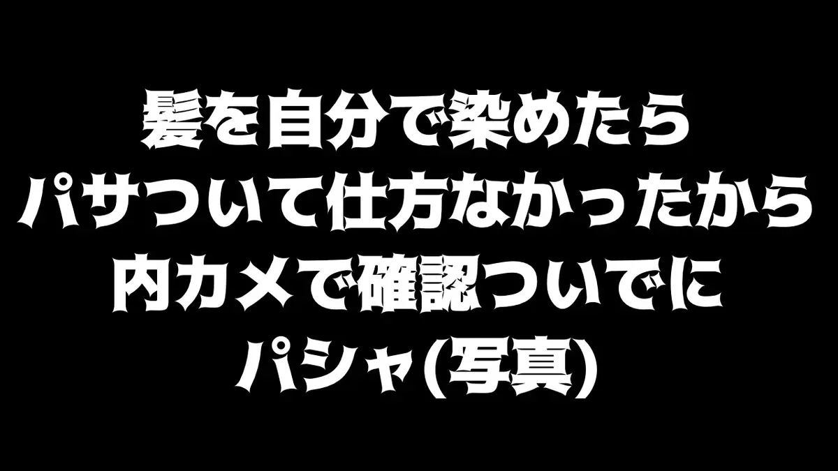 せっかくブログ会員になってくれた人居るのでたまには写真📸
