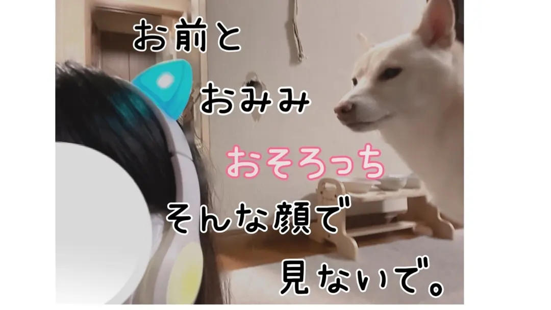 引きこもり無職ガイジです。呼んだ？