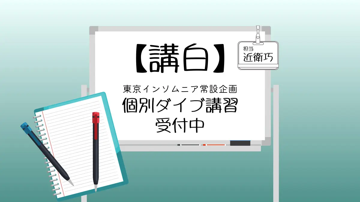 常設【講白】／東京インソムニア個人企画