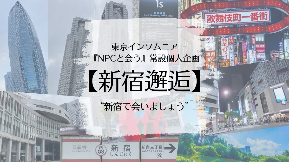 常設【新宿邂逅】東京インソムニア個人企画