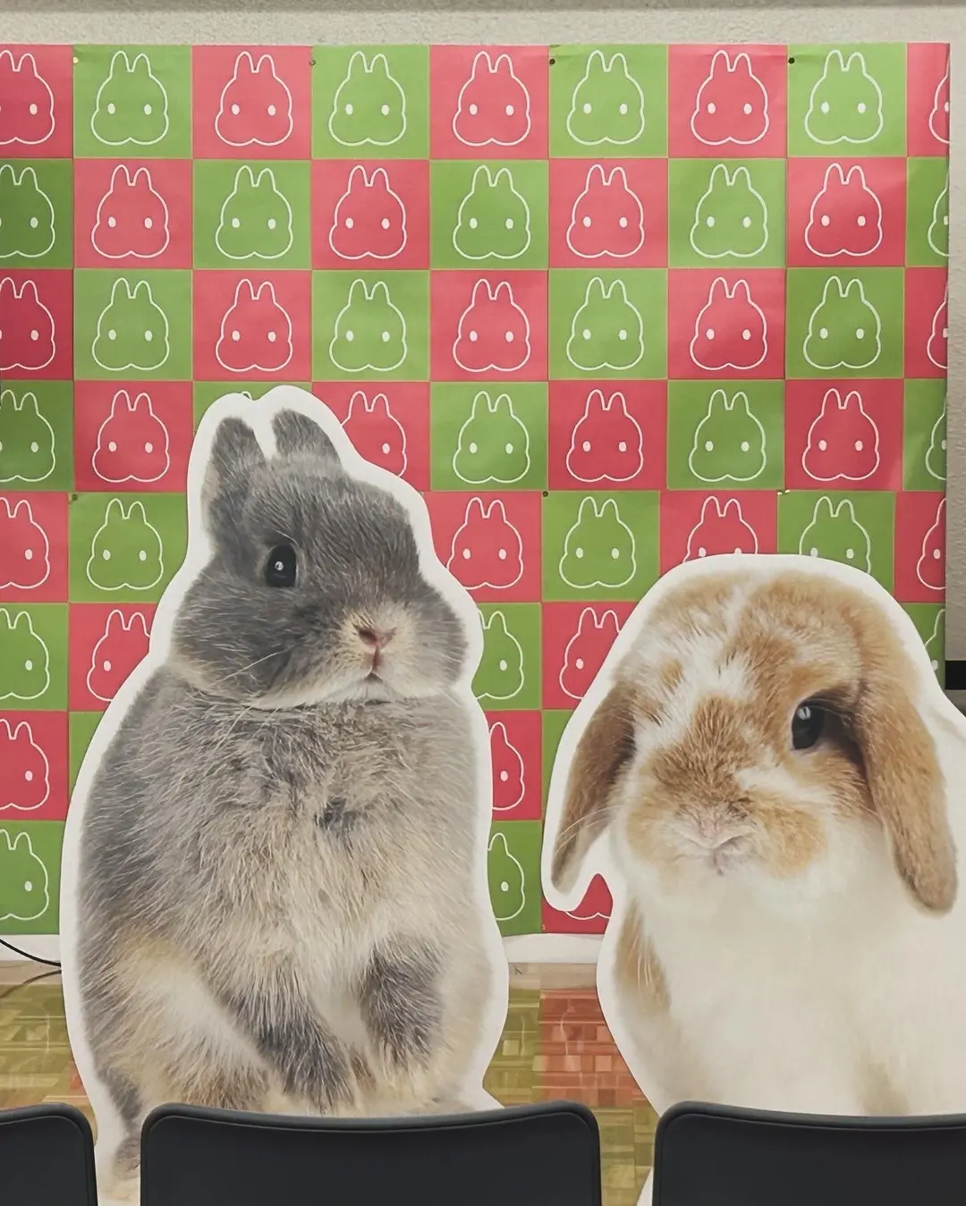 うさフェスと音楽と🐰🎹