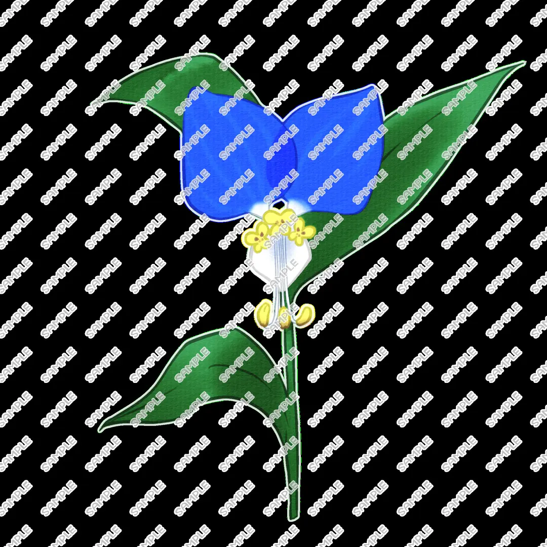 ツユクサ　イラスト素材メイキング
