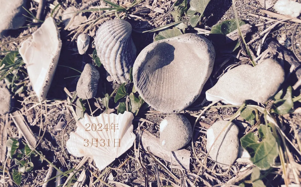 3月31日