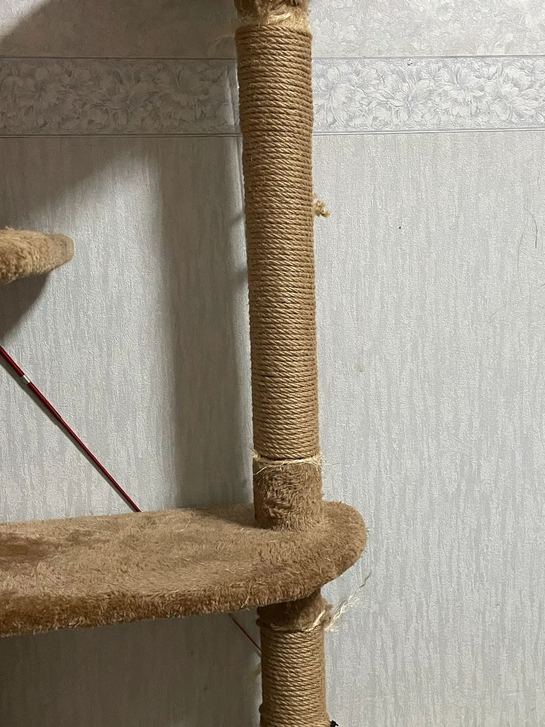 キャットタワー
