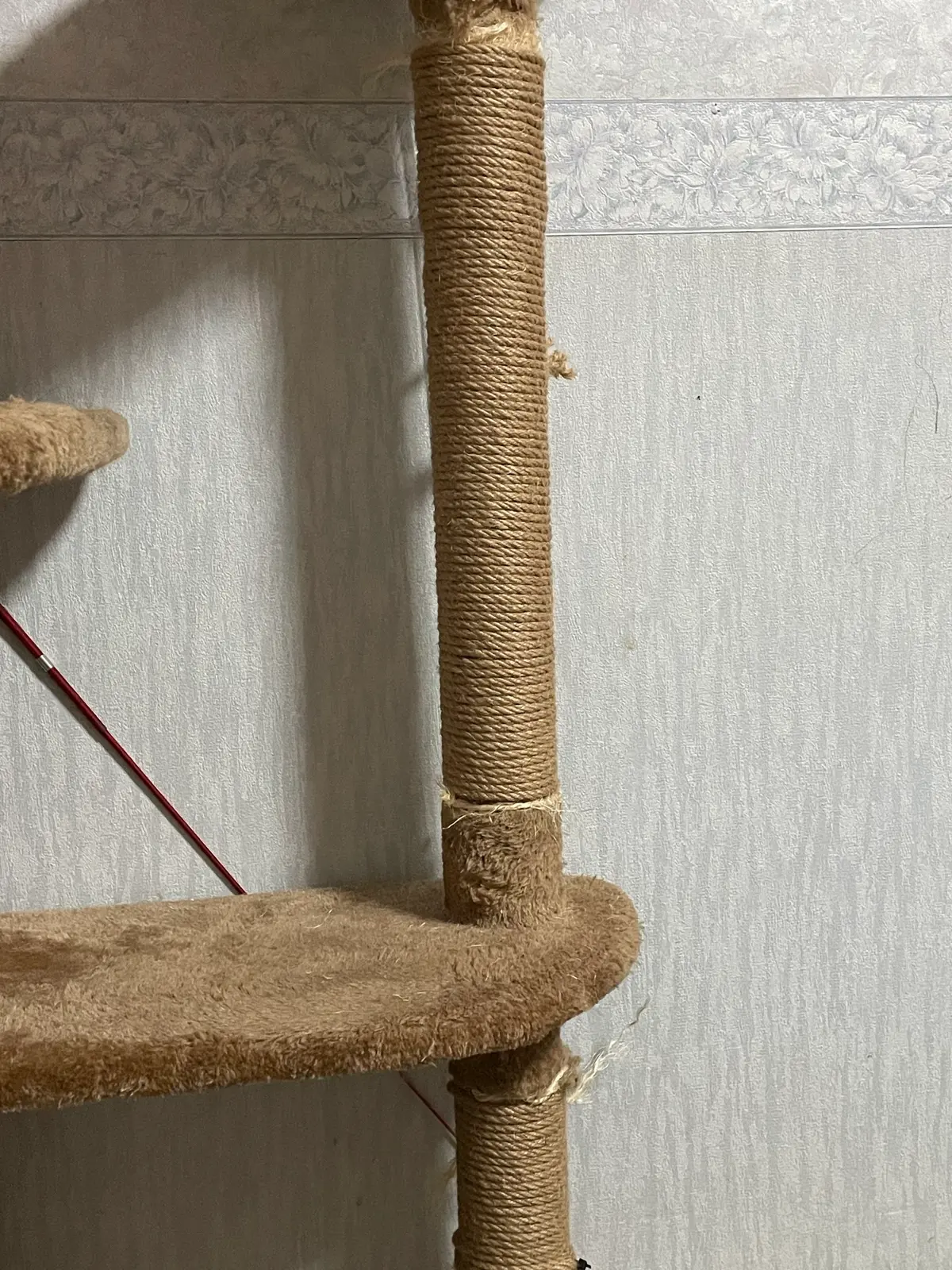 キャットタワー