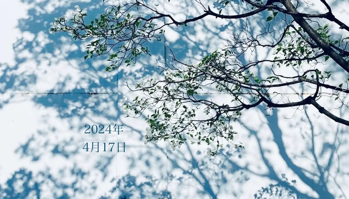 4月17日