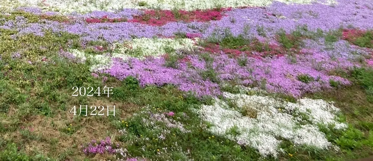 4月22日