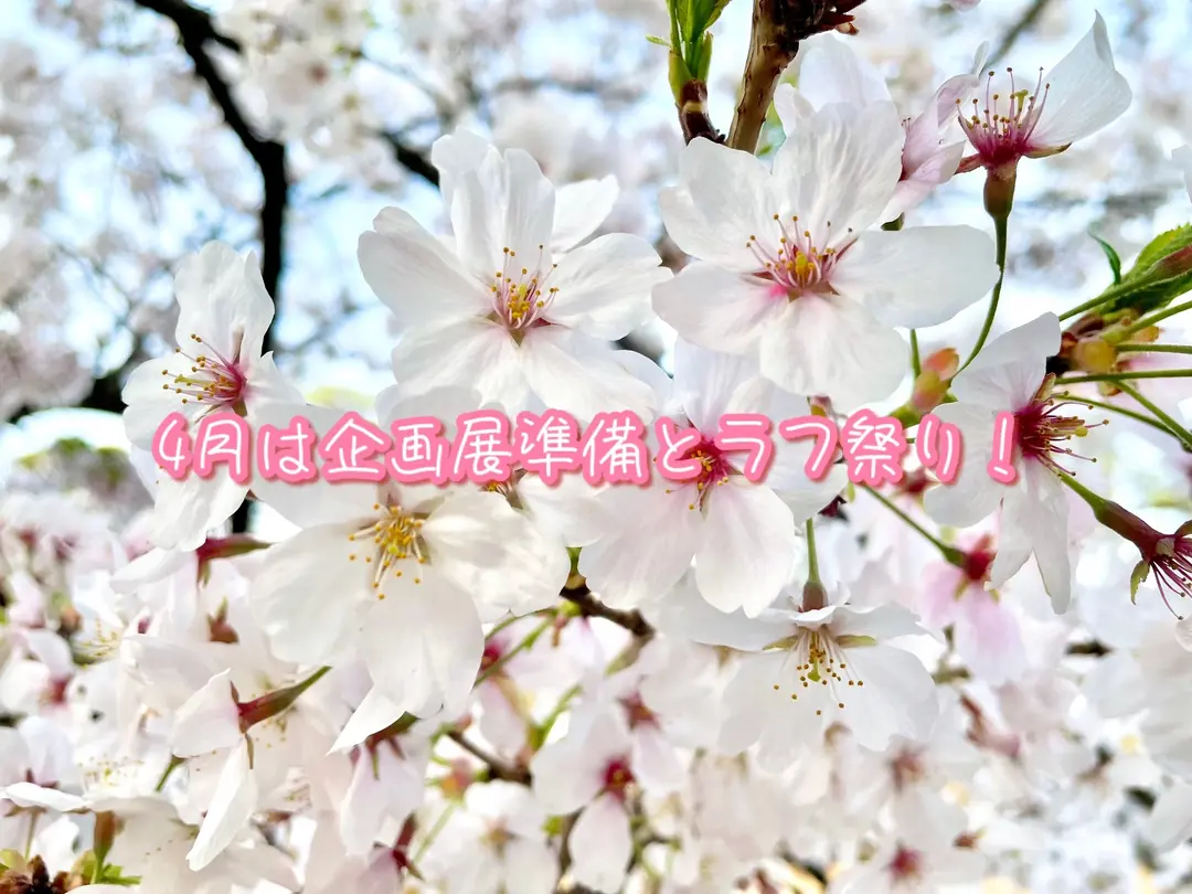 4月は企画展準備とラフ祭り！