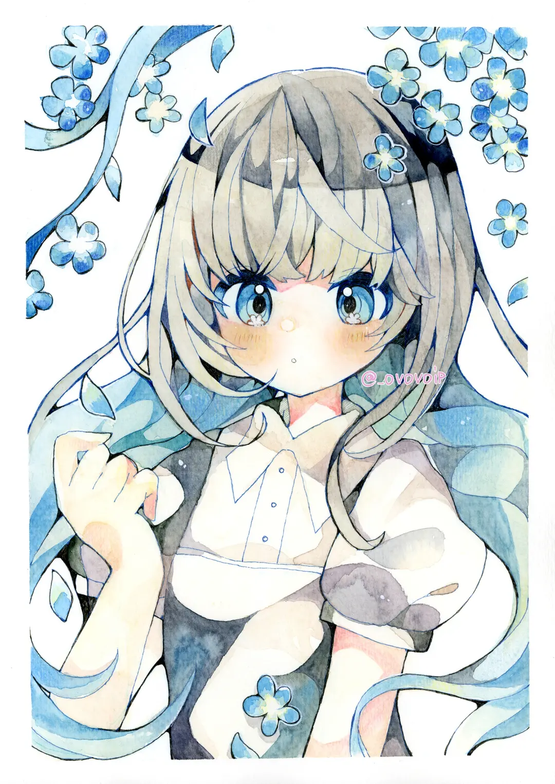 ネモフィラ