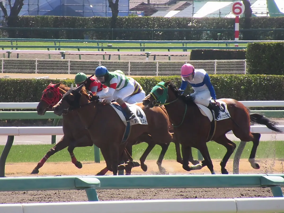 競馬場中心とした公営競技系レポートも執筆！