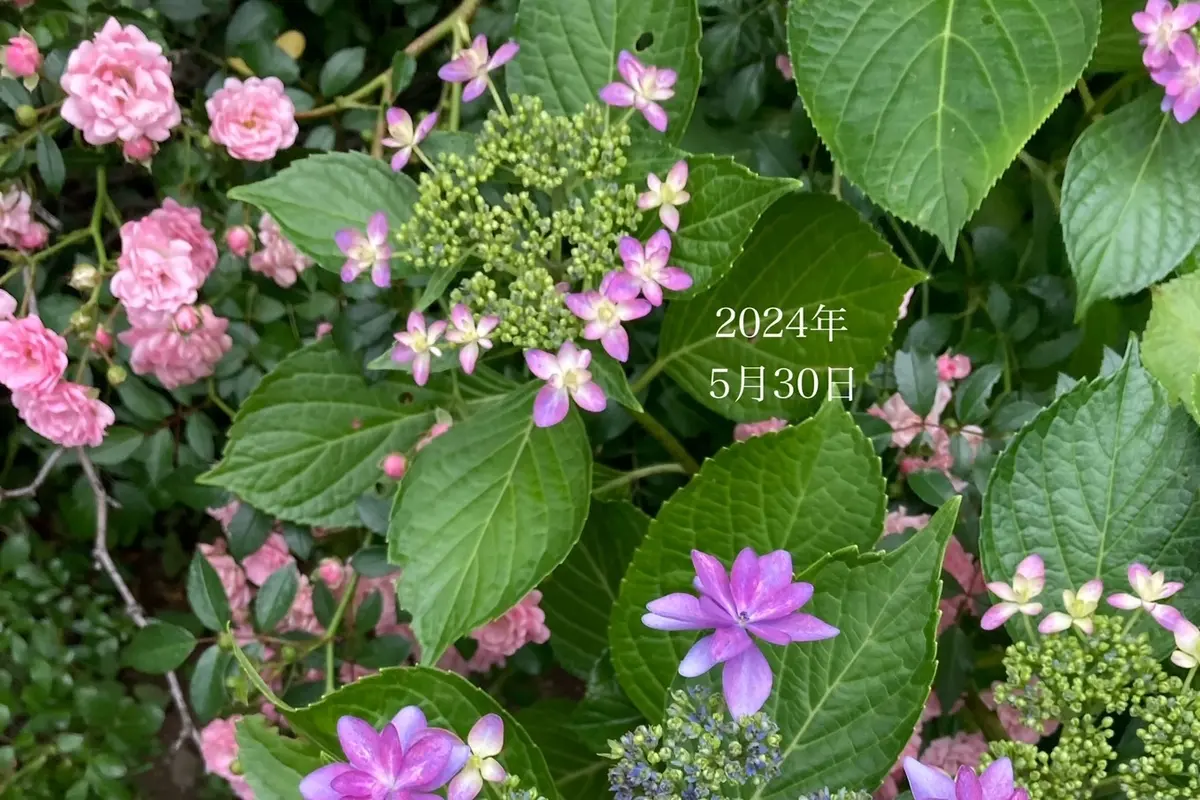 5月30日