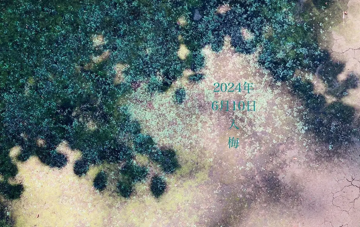 6月10日　入梅