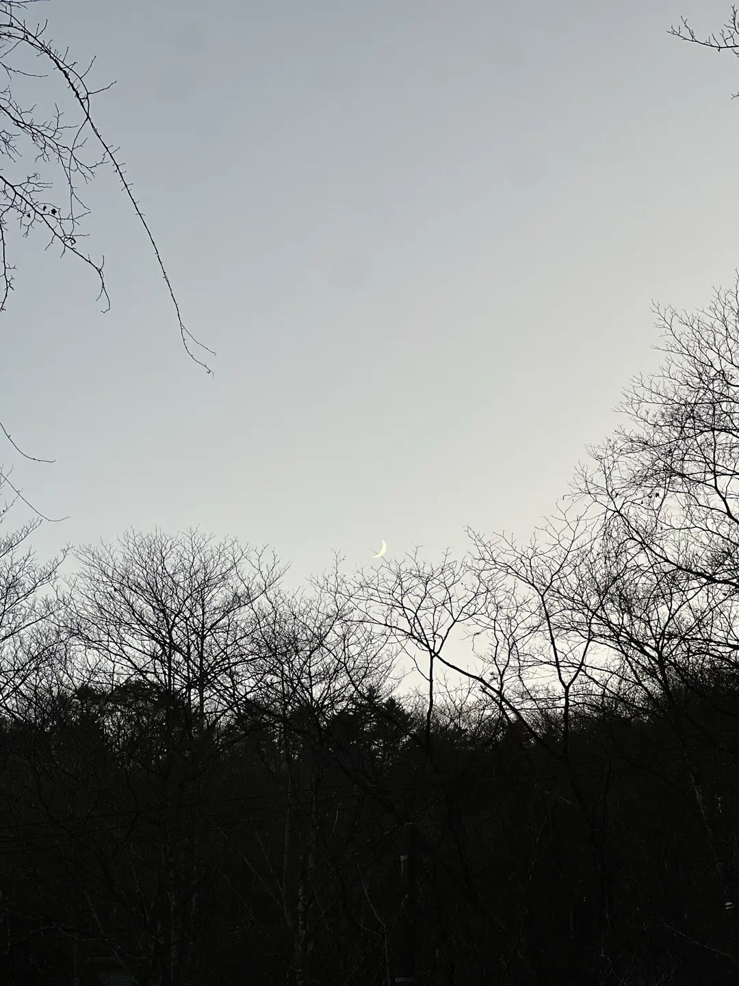 なかなか