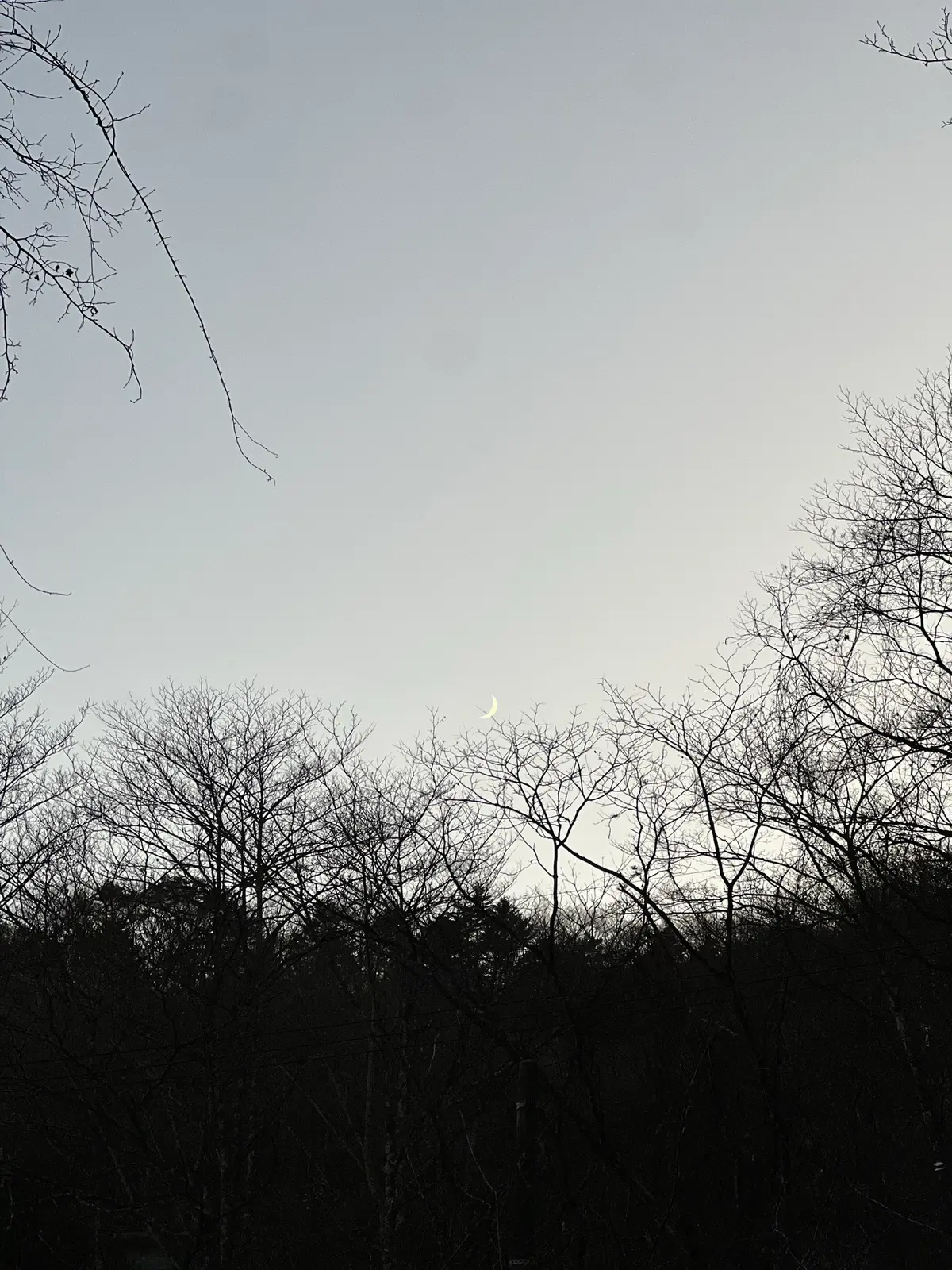 なかなか