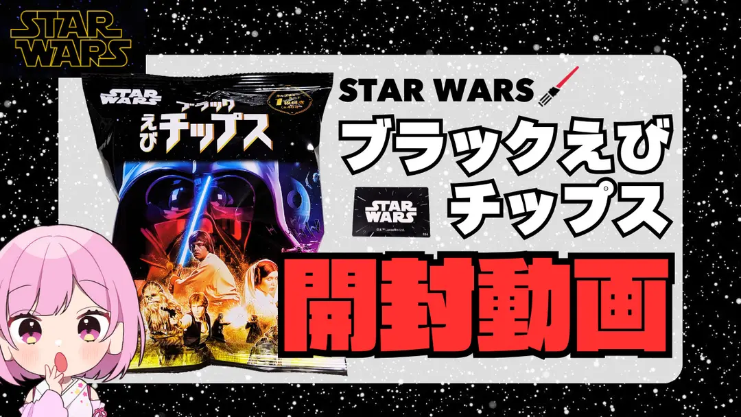 1/16 SWチップス動画 裏側