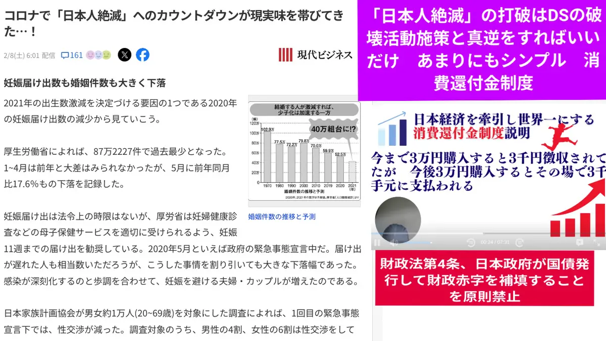 「日本人絶滅」の打破はDSの破壊活動施策と真逆をすればいいだけ　あまりにもシンプル　消費還付金制度