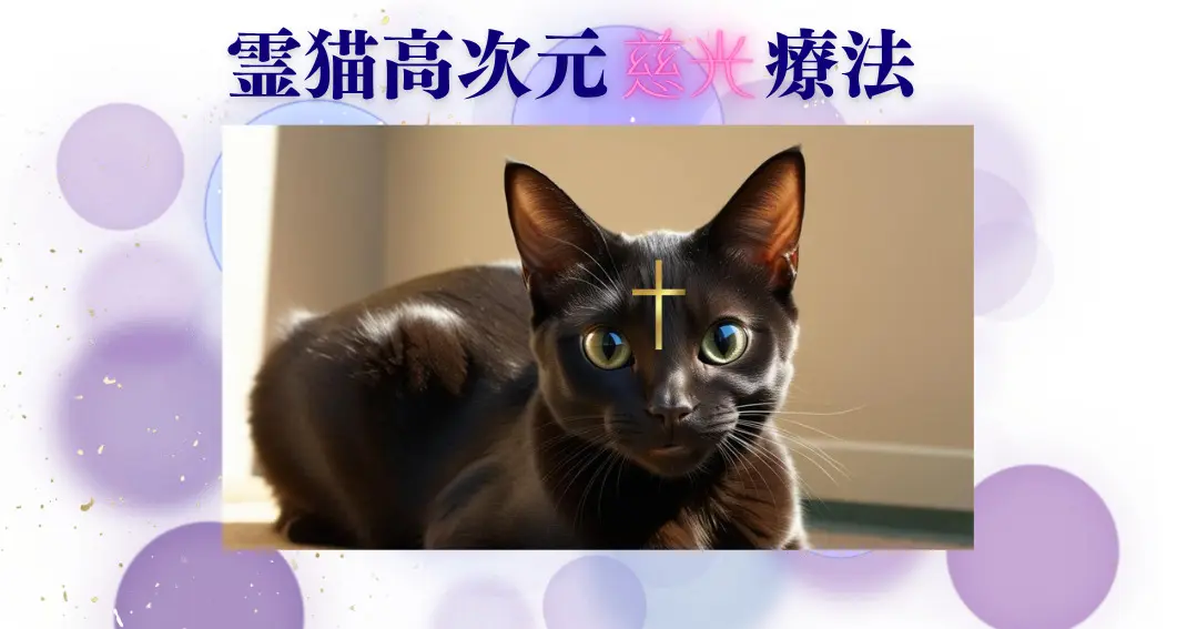霊猫高次元慈光療法　#毒ワクチン体調不良治療　#タオエネルギー療法