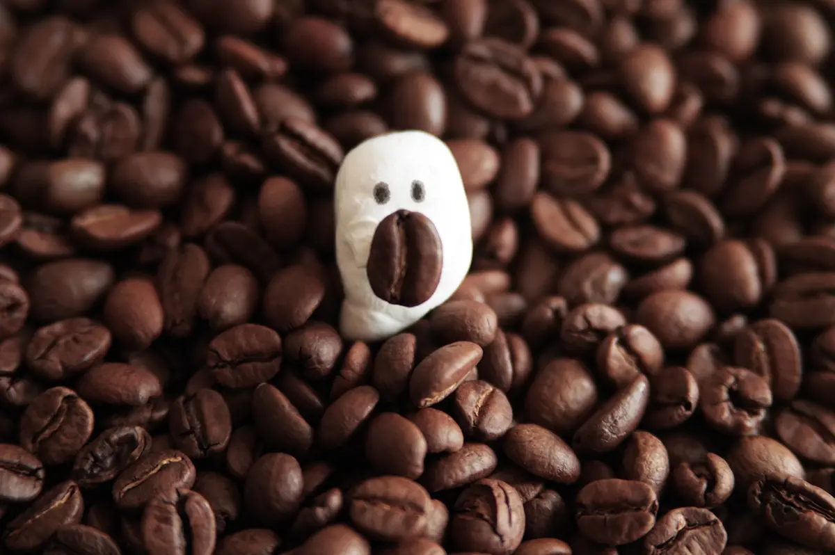Coffee39(個展記録）
