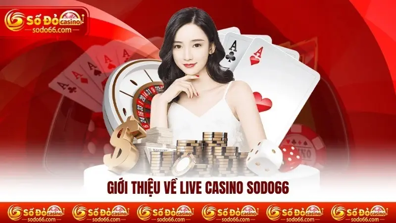 Khám phá thế giới cá cược đỉnh cao cùng Live casino SODO66