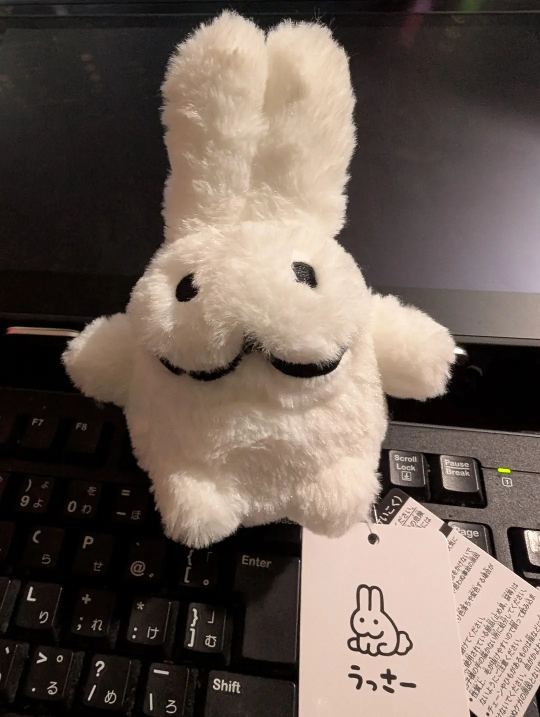 ぬいになりたい