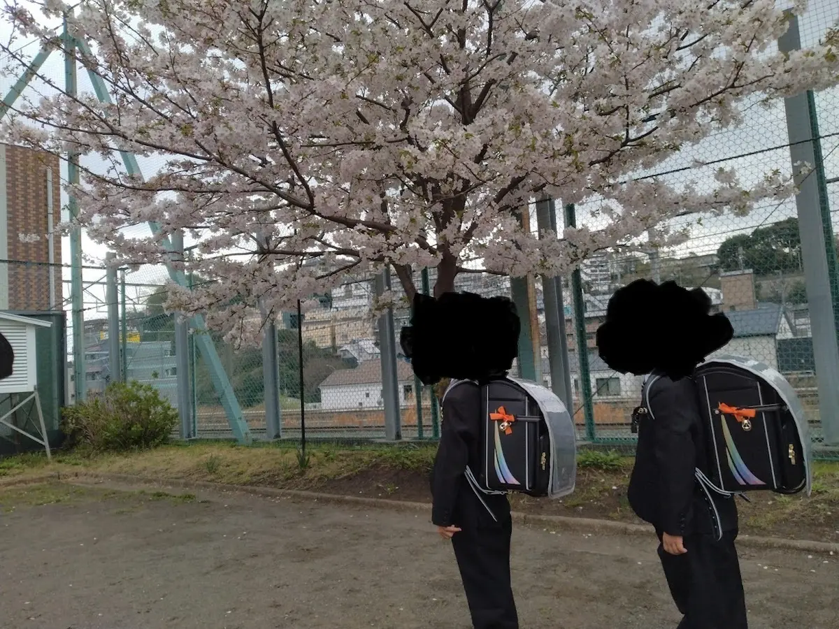 蒐集談⑥