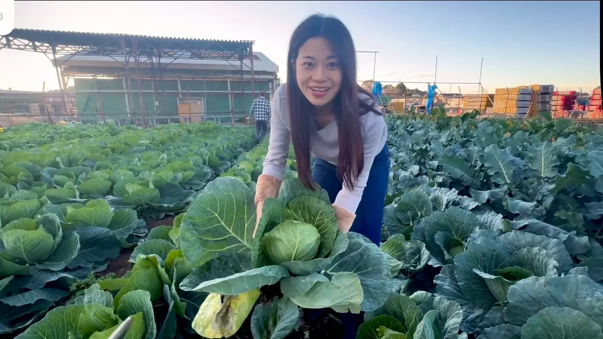 【メンバー限定vlog】なるみんの千葉の親戚の秋野菜収穫宴会の様子🍺