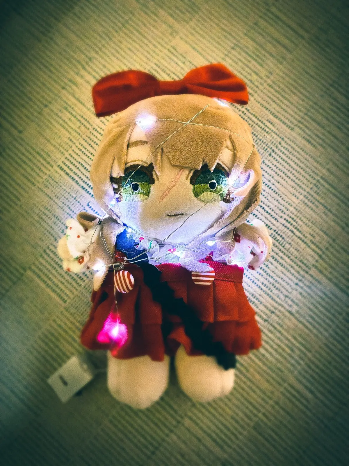 【購入品】ご支援で購入したもの。