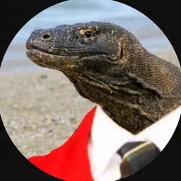 User Icon