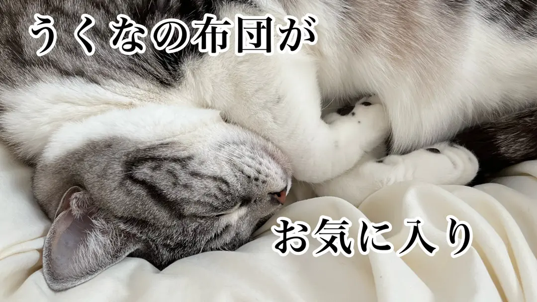 一月の日記