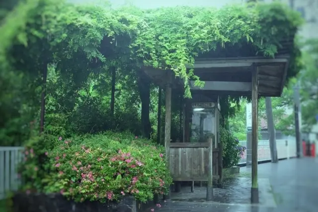 お題1「雨宿り」