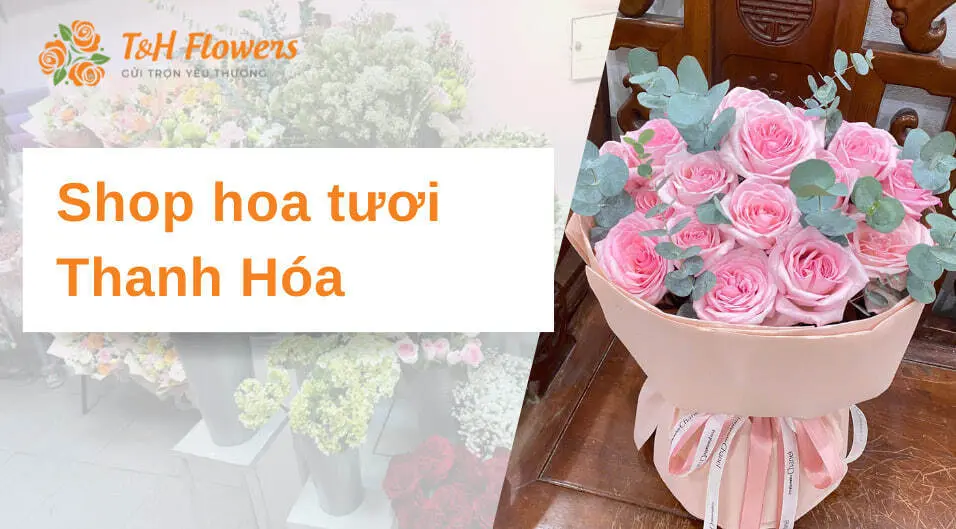 Shop hoa tươi Thanh Hóa – Giao nhanh trong 2h, mẫu đa dạng