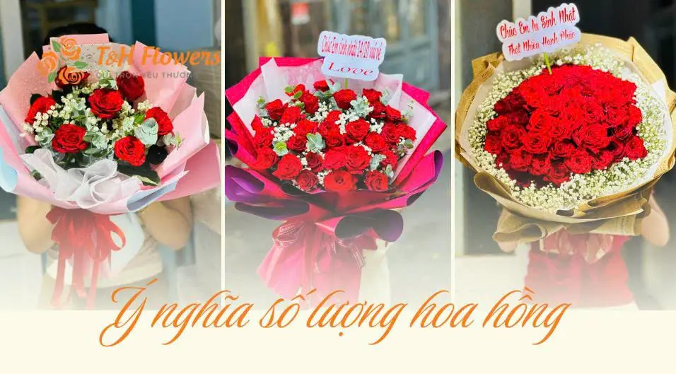Giải mã ý nghĩa số lượng hoa hồng trong tình yêu