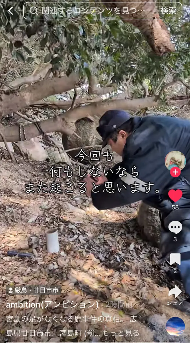 宮島でくくり罠が発見されました