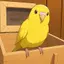 User Icon