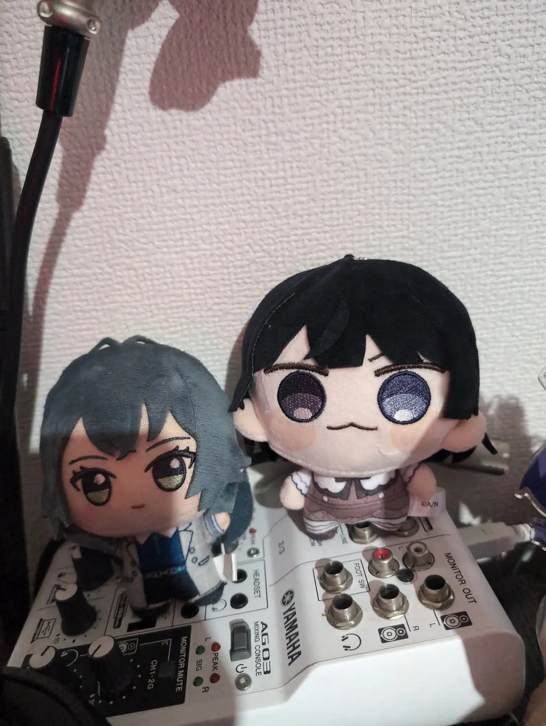 ぬいぬい