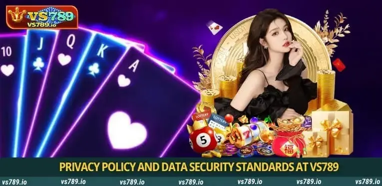 Privacy Policy and Data Security Standards at VS789