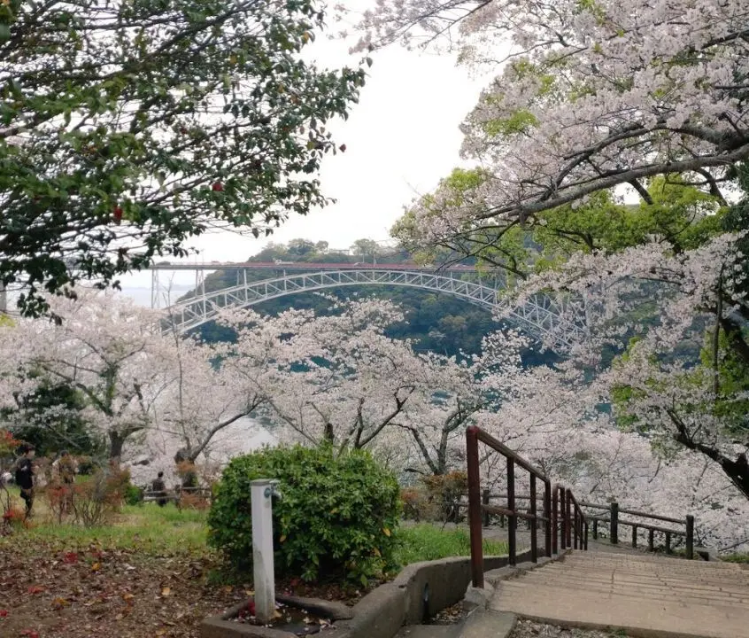 ブログを更新しました。 「桜、延長」