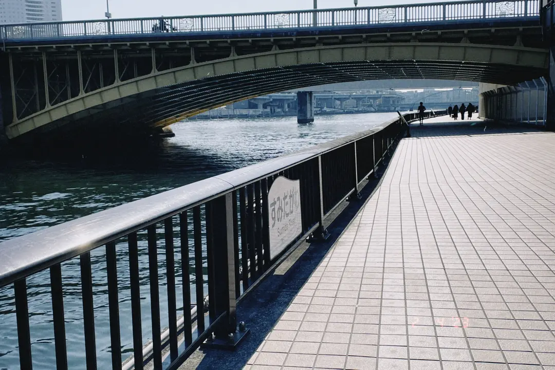 水辺の散歩道、光と影のストライプ